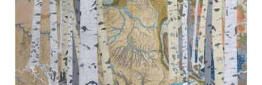 An illustration of trees placed over a map. The rivers on the map have been colored a deep blue
