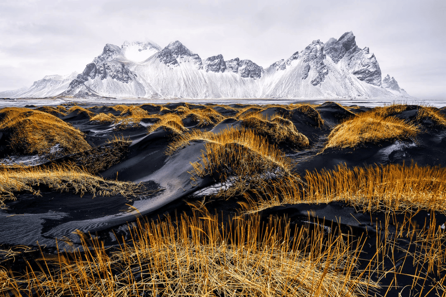 Hills of golden grass in front of snowy mountains 