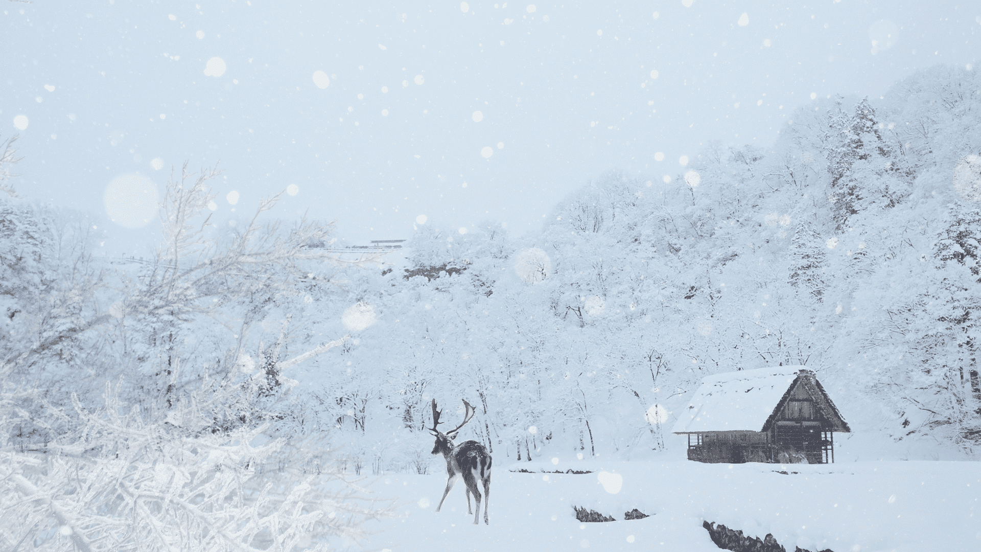 A picture of an elk and a cabin in deep, swirling snow